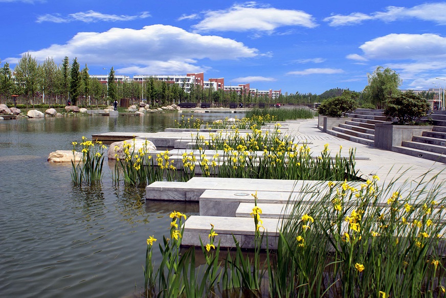 鄭州大學培訓基地